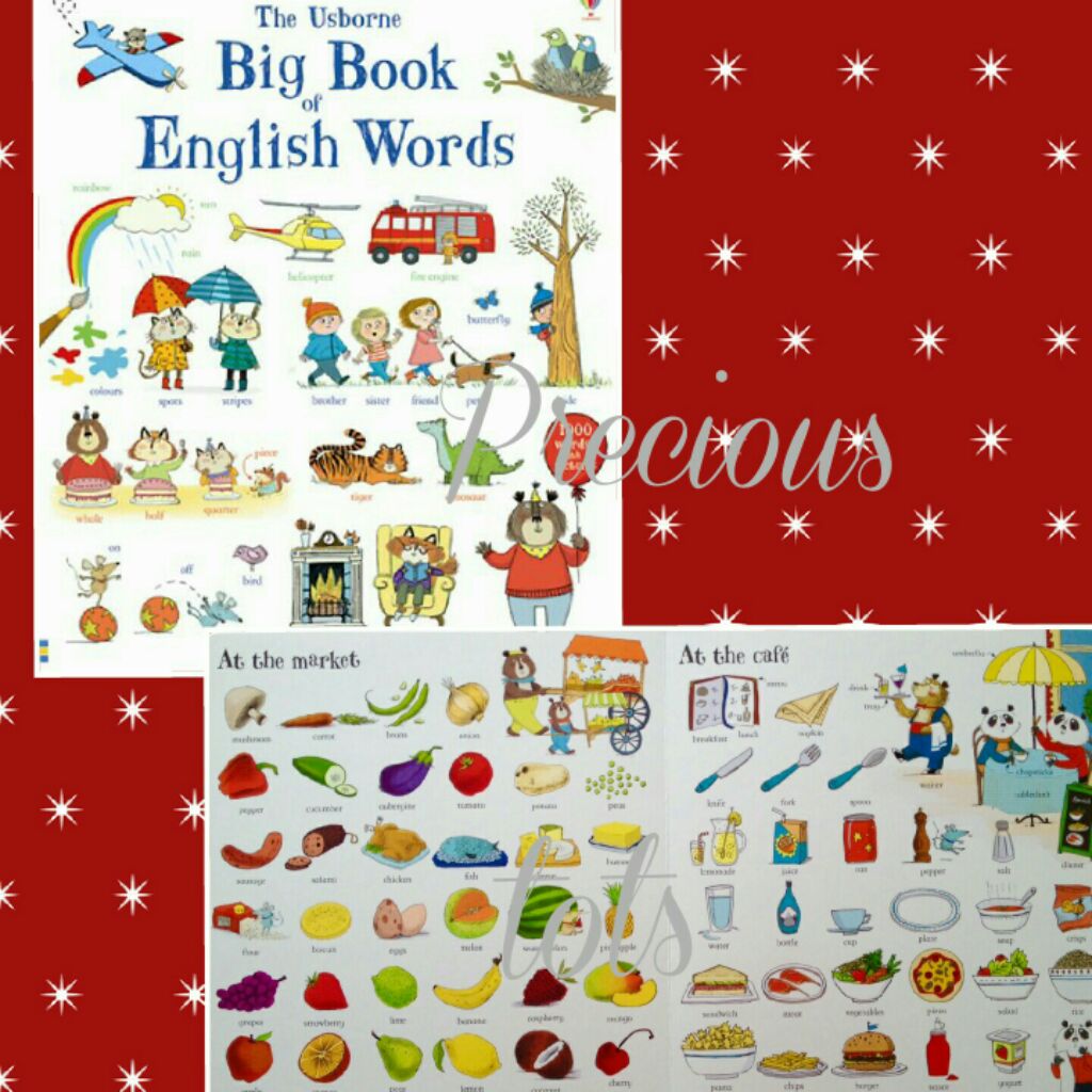 Title Usborne Big Book Of English Words Shopee Singapore