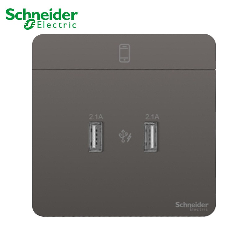 Sg Seller Schneider Avataron A Usb Charger Usb Type A V Dc