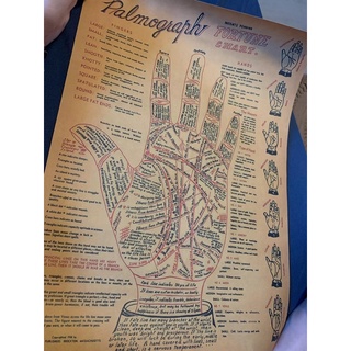 PALMOGRAPH Palm Reading Antique Palmistry Fortune Telling Chart Vintage Wall Art Poster