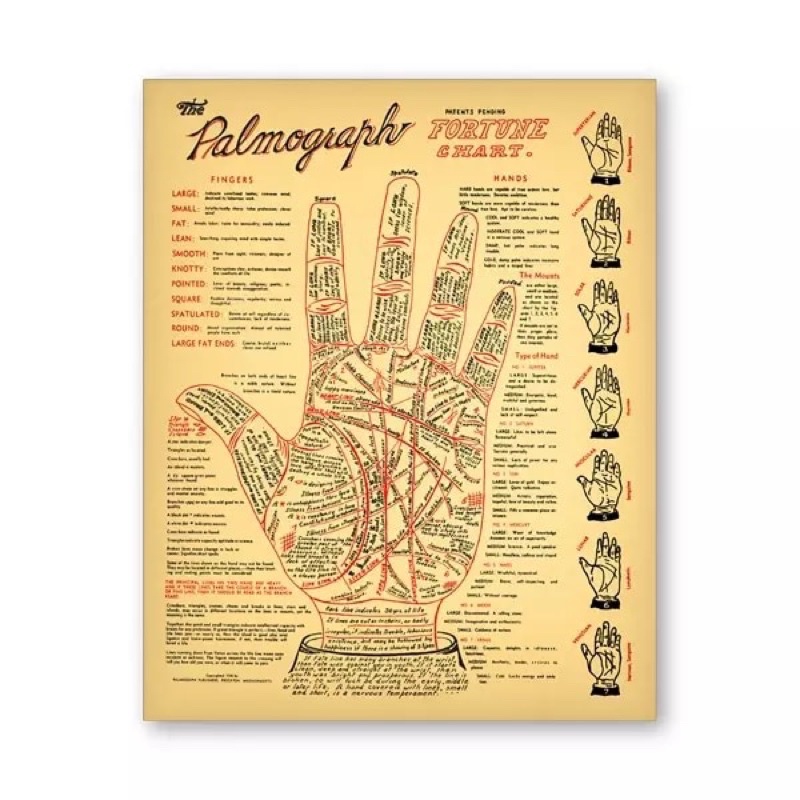 PALMOGRAPH Palm Reading Antique Palmistry Fortune Telling Chart Vintage Wall Art Poster