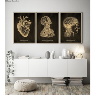 Anatomical Skeleton Chalkboard Poster Kraft Paper Posters DIY Vintage