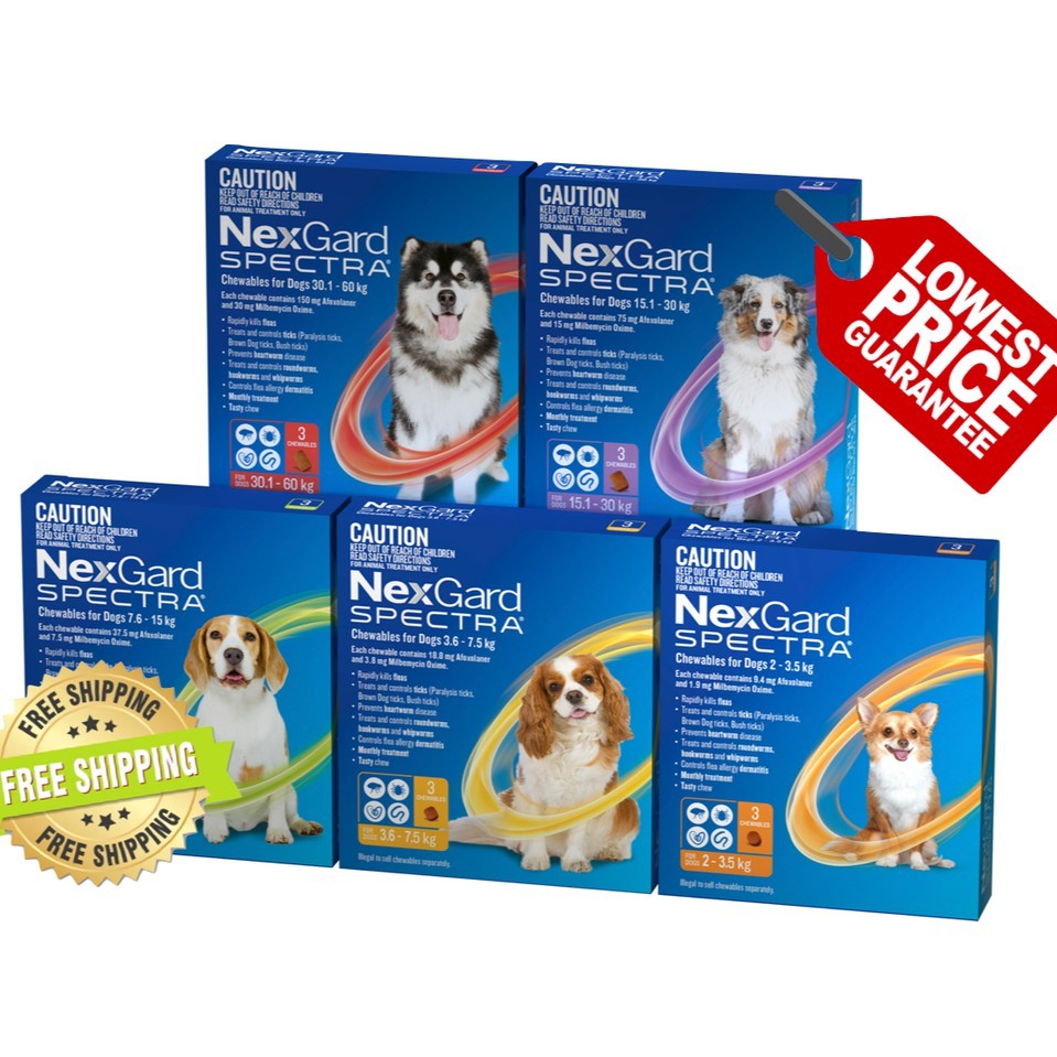 Nexgard Spectra For All Sizes 3 Chews Pack Flea And Tick Heartworm