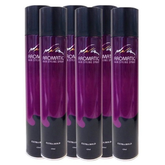 Bundle Special 6pcs Aromatic Styling Hair Spray Extra Hold 420ml Shopee Singapore