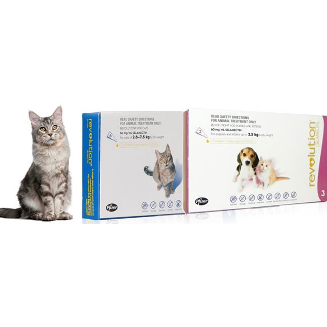 Revolution Solutions for Cats and Rabbits | Shopee Singapore