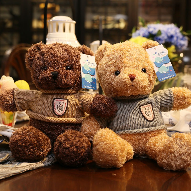 teddy gift for girlfriend