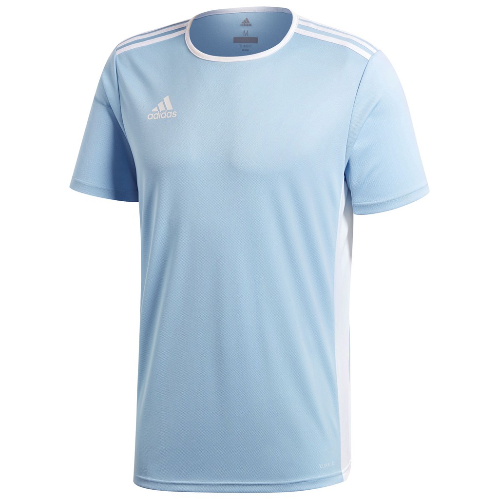 adidas entrada 18 jersey white