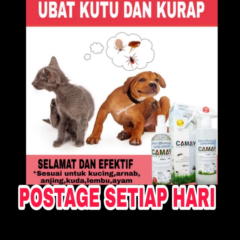 Hot Selling Spray Medicine Basmi Kurap Cat Dog Arnab Cat Dog Rabbit Fleas Ice Camay Repellent Spray Shopee Singapore