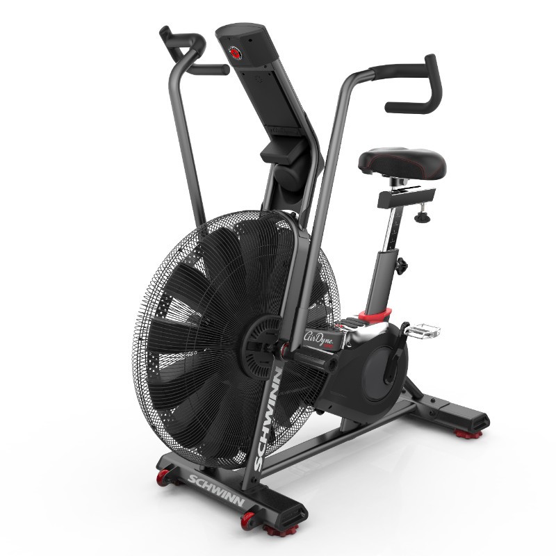 schwinn bike airdyne