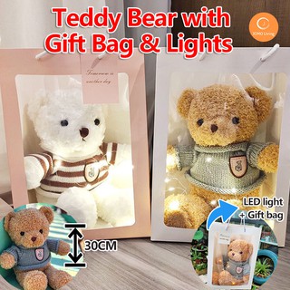 Korea Teddy Bear with Gift Bag & lights! Plush Soft toy birthday gifts