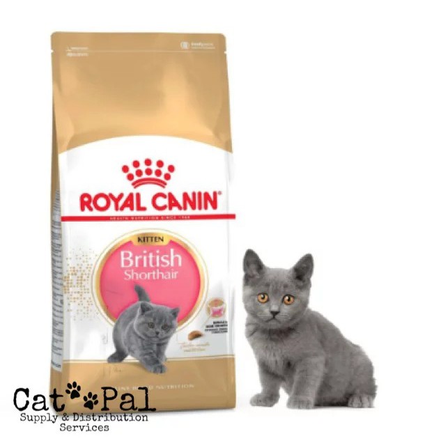 royal canin british shorthair kitten 4kg