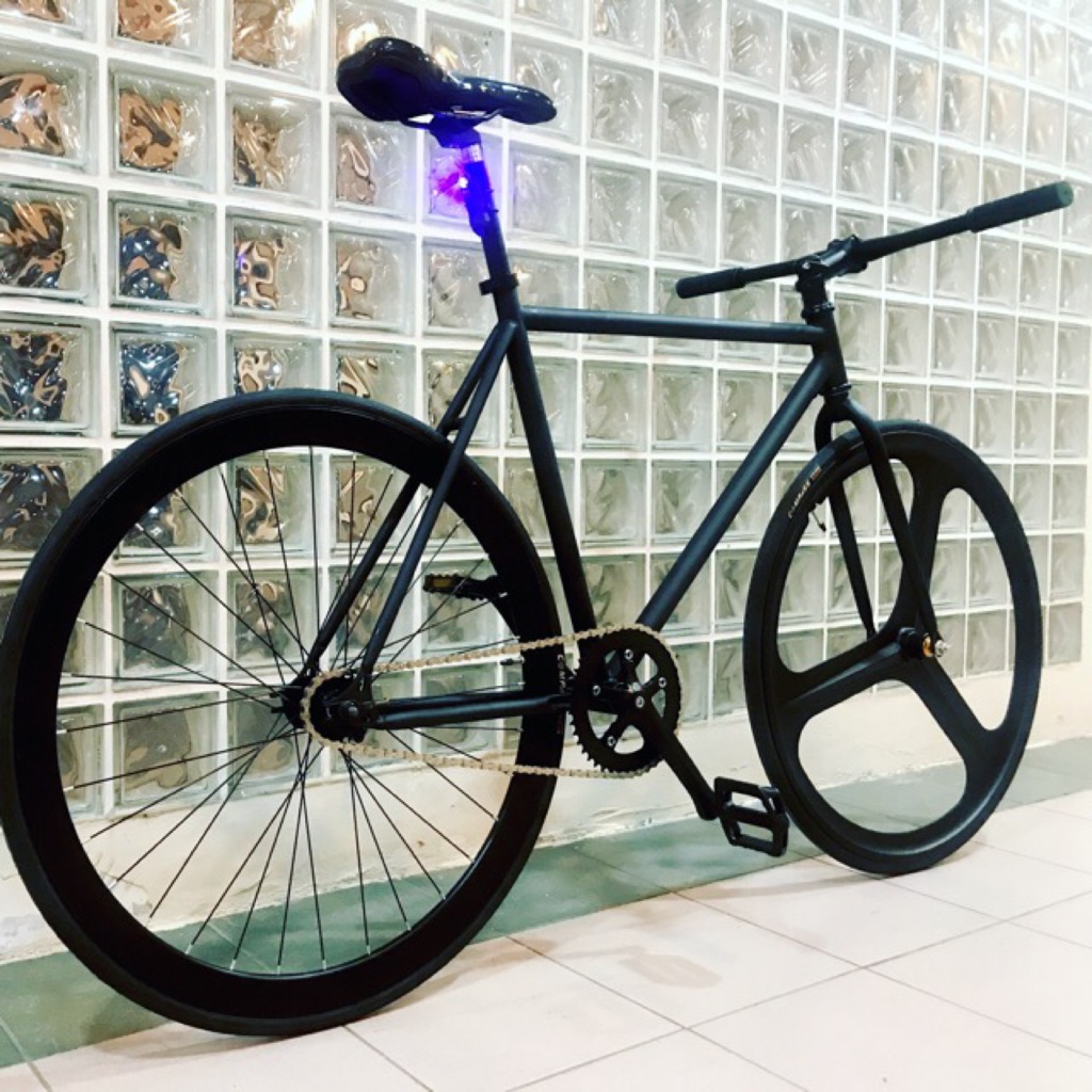 26 inch fixed gear wheel