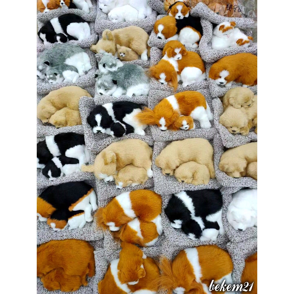 Large Type] 99% Real Stuffed Animals, Dogs And Cats, Activated Carbon Core  Activated Carbon, Car Deodorizing | Shopee Singapore