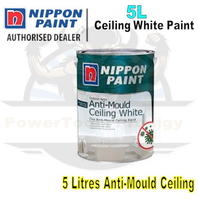 Nippon Paint Anti Mould Ceiling White, White Ceiling Paint 5l