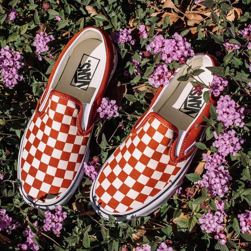 picante checkerboard vans