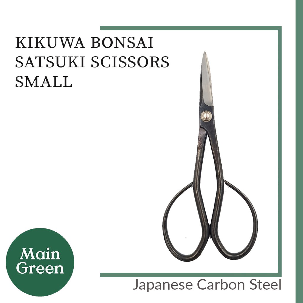 Kikuwa Bonsai Satsuki Scissors Small Japanese Carbon Steel Main Green