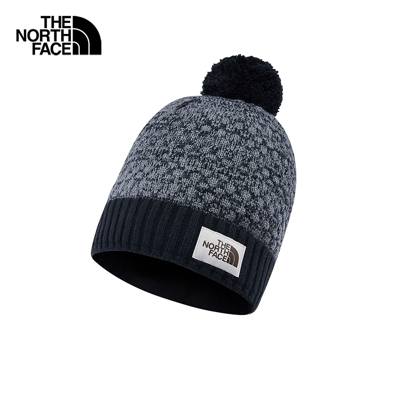 the north face antlers beanie