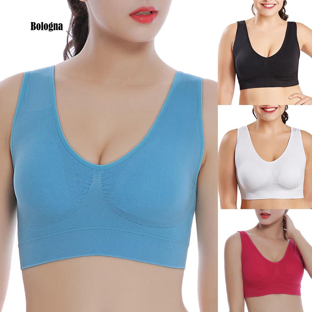 plus size push up sports bra