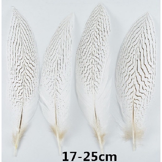 10pcs 10 25 Cm 6 10 Inch Natural Silver Pheasant Tail Feathers For Crafts Wedding Decorations Shopee Singapore