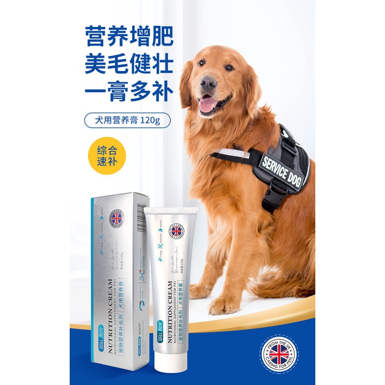 Willot Dog Nutrition Cream Dog Puppy Fattening Tra威洛特狗狗营养膏狗幼犬增肥微量元素补钙美毛宠物营养补充剂120g Shopee Singapore