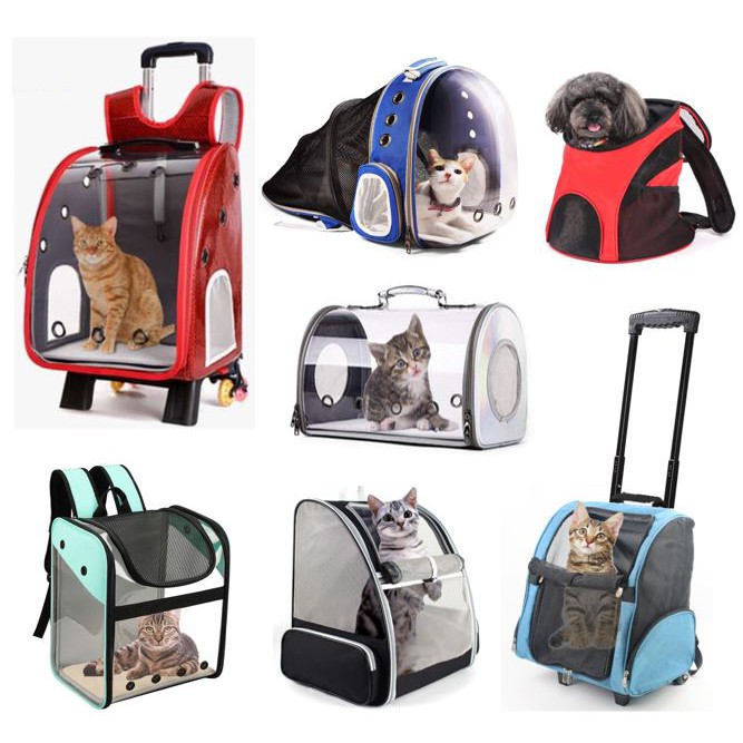 cat backpack near me Promotions