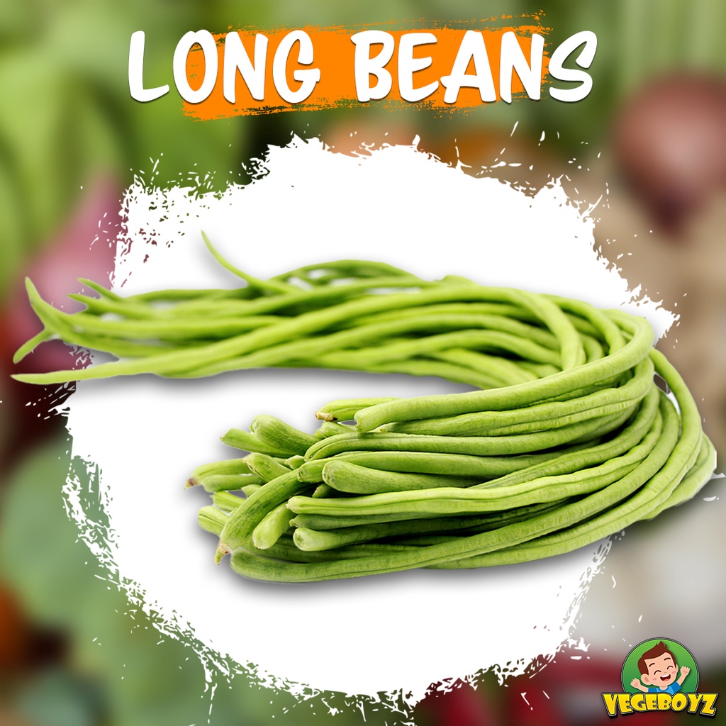 [VEGEBOYZ] Long Beans/Kacang Panjang  200g, 500g & 1kg  VBB-0000  {FRESH  VEGETABLES}