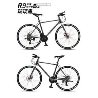 raleigh hybrid bike tx800