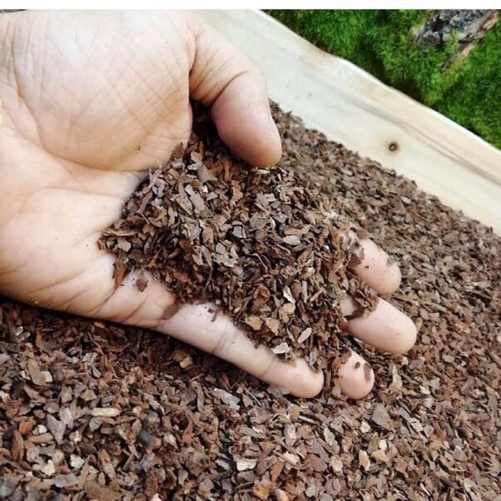 2l Pine Bark Fine Bark Orchid Bark Mulching æ¾æ 'çš® Shopee Singapore