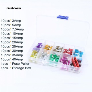 RB_100Pcs Assorted Car Truck Mini Low Profile Fuse Puller Micro Blade Set Kit