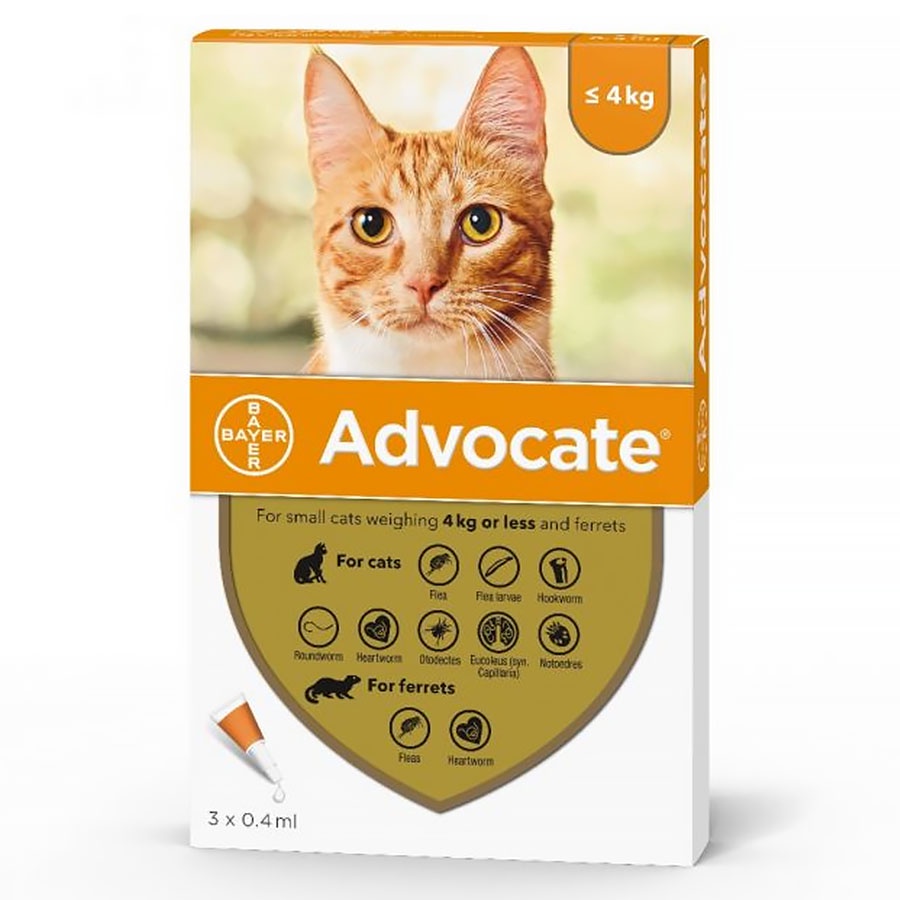 Advocate Flea AND Worm Heartworm Control Treatment FOR Cats ALL Sizes
