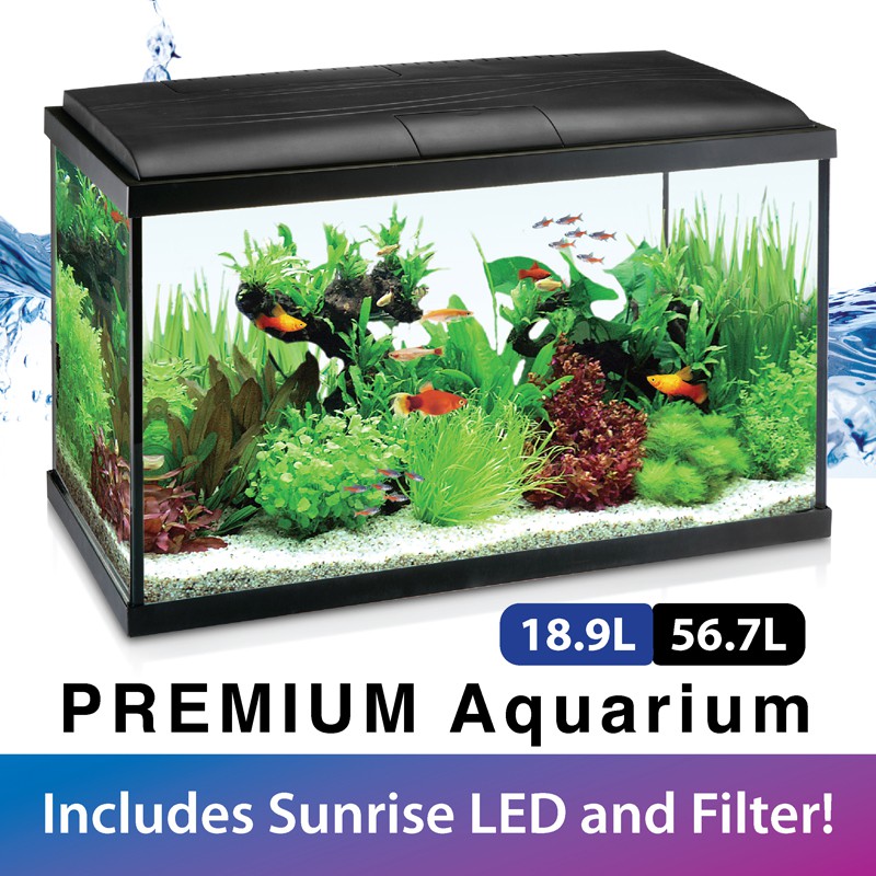 [Resun] Ripples Premium Aquarium Glass Fish Tank (with Filter and LED ...