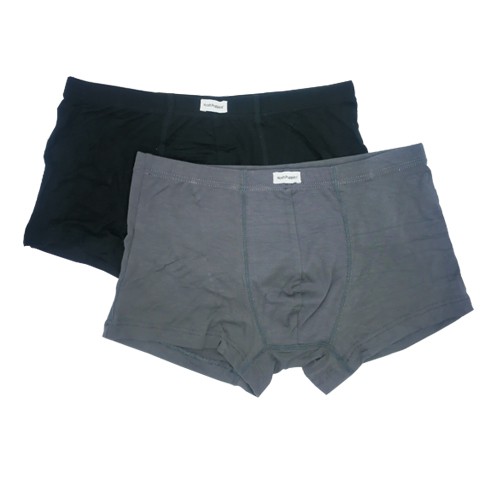 Hush Puppies 2Pcs Men Boxer Briefs Bamboo Spandex BS2323 | Shopee Singapore