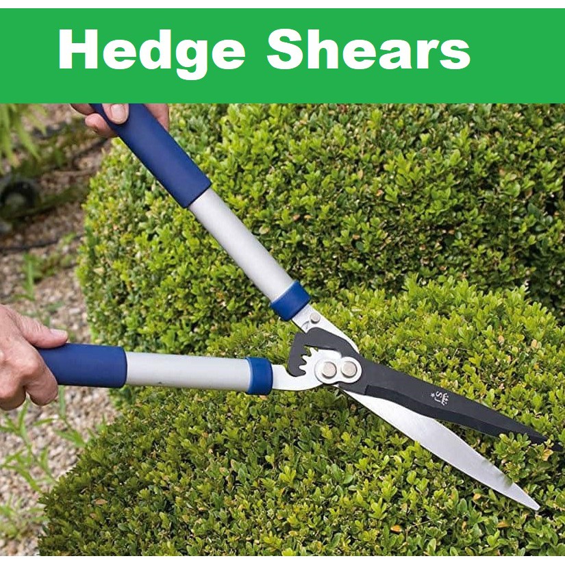 best manual grass shears