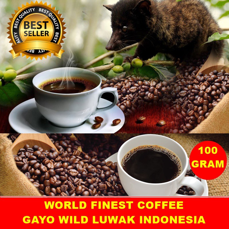 World Best Wild Luwak Coffee Organic Original 100 Gram *Free Shipping