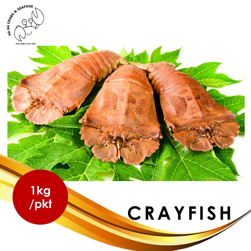 Crayfish / Slipper Lobster 虾婆 (Frozen, 1kg/Pkt)
