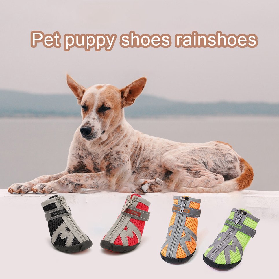 non slip shoes for dogs
