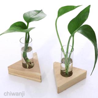 2pcs Planter Test Tube Flower Bud Vase Tabletop Glass Pots in Wooden Stand #6