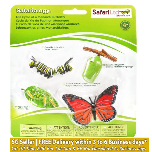 safari ltd life cycle of a monarch butterfly