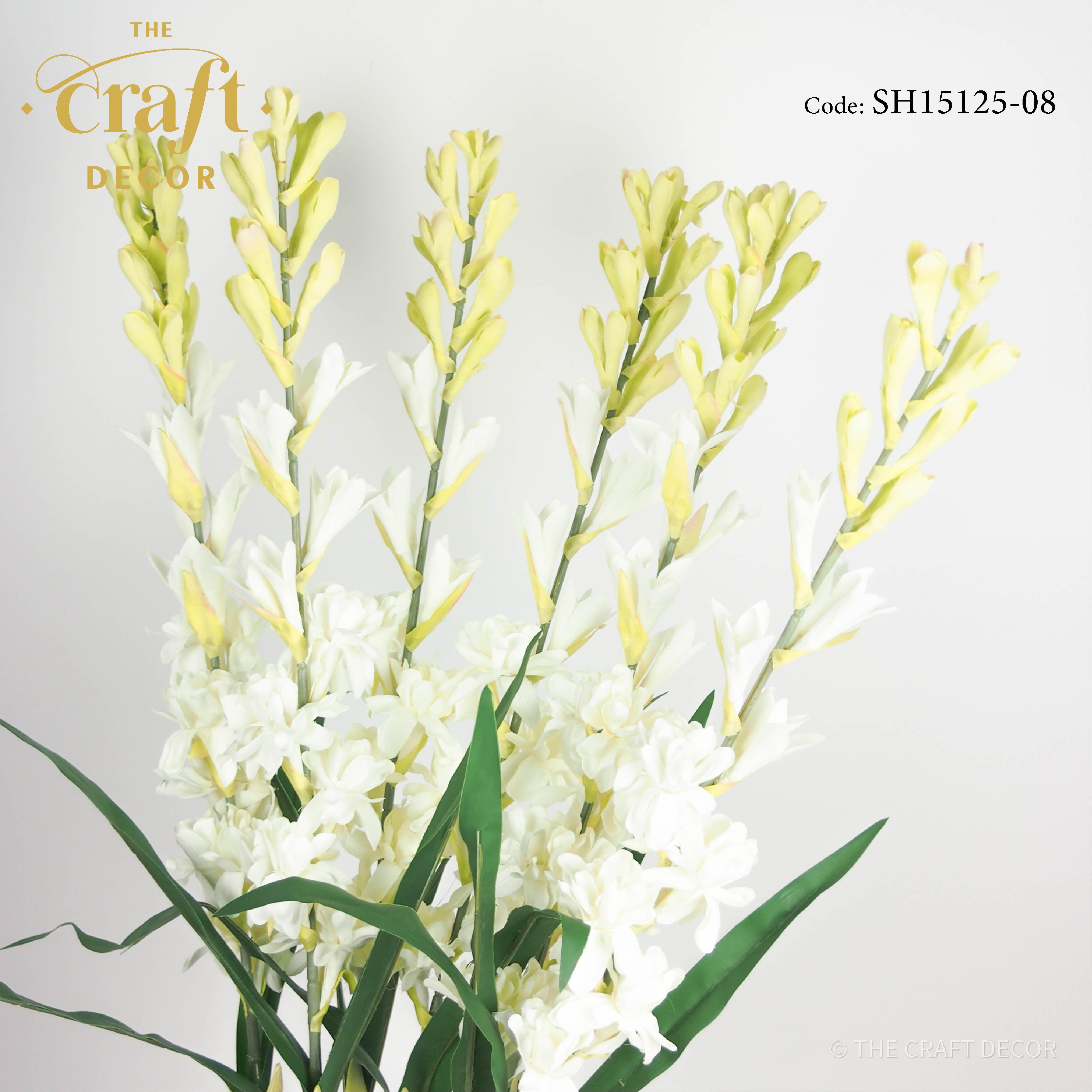 Cream Tuberose Spray Night Sundal Fragrant Flowers Shopee Singapore