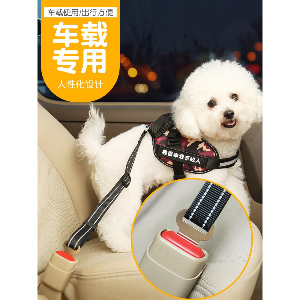 jump restraint dog harness petsmart