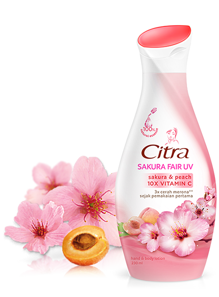 Citra Hand Body Lotion Sakura Fair Uv 230ml Shopee Singapore