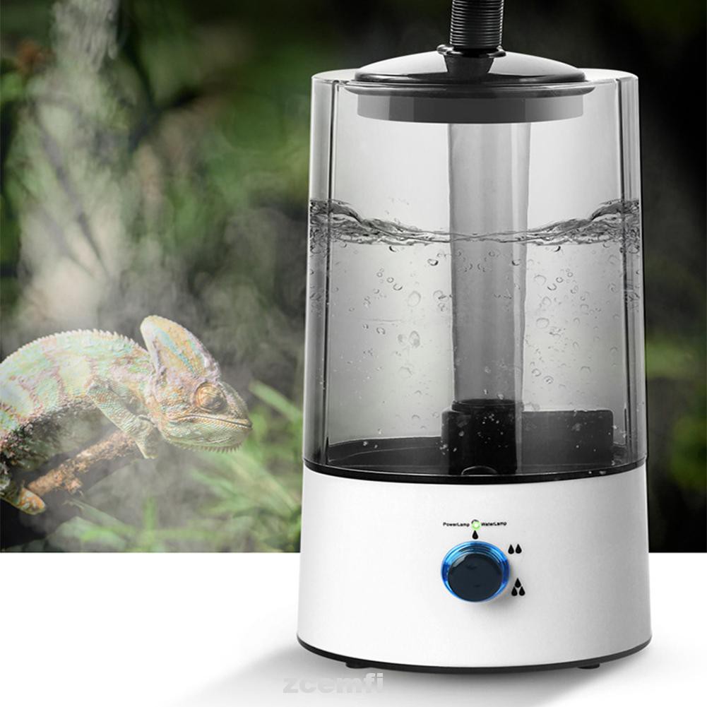 chameleon humidifier