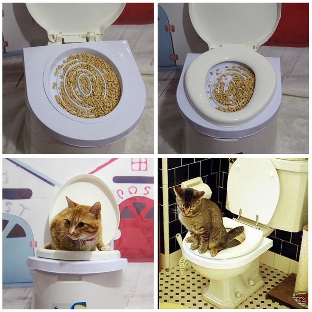 cat toilet training