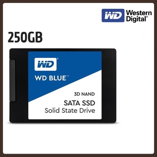 Western Digital WD Blue 500GB 1TB 250GB Internal 3D Nand Sata SSD WDS2B0A WDS2B0B