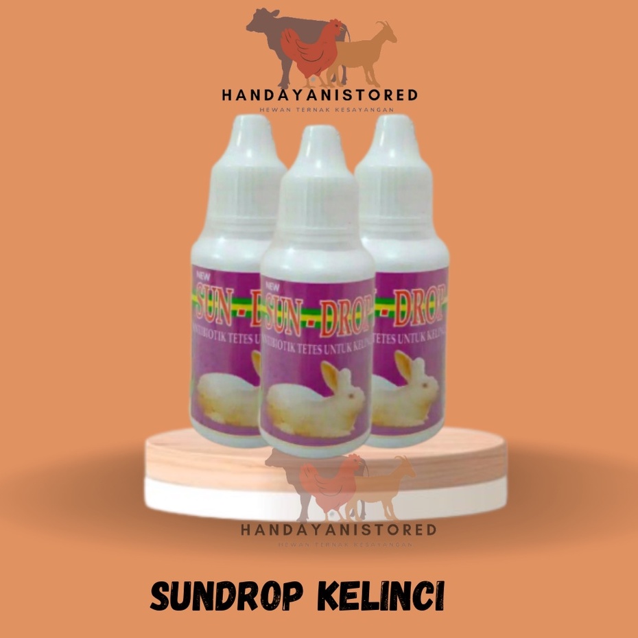 Sundrop Rabbit Antibiotic Rabbit Medicine For Flu And Digestion Sun