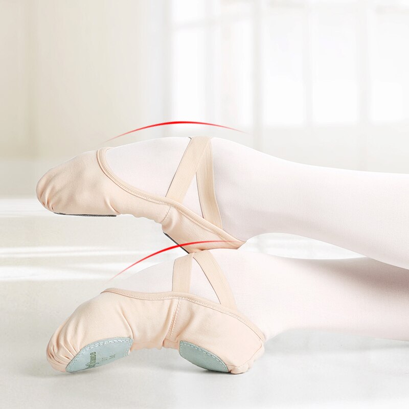 professional ballet slippers
