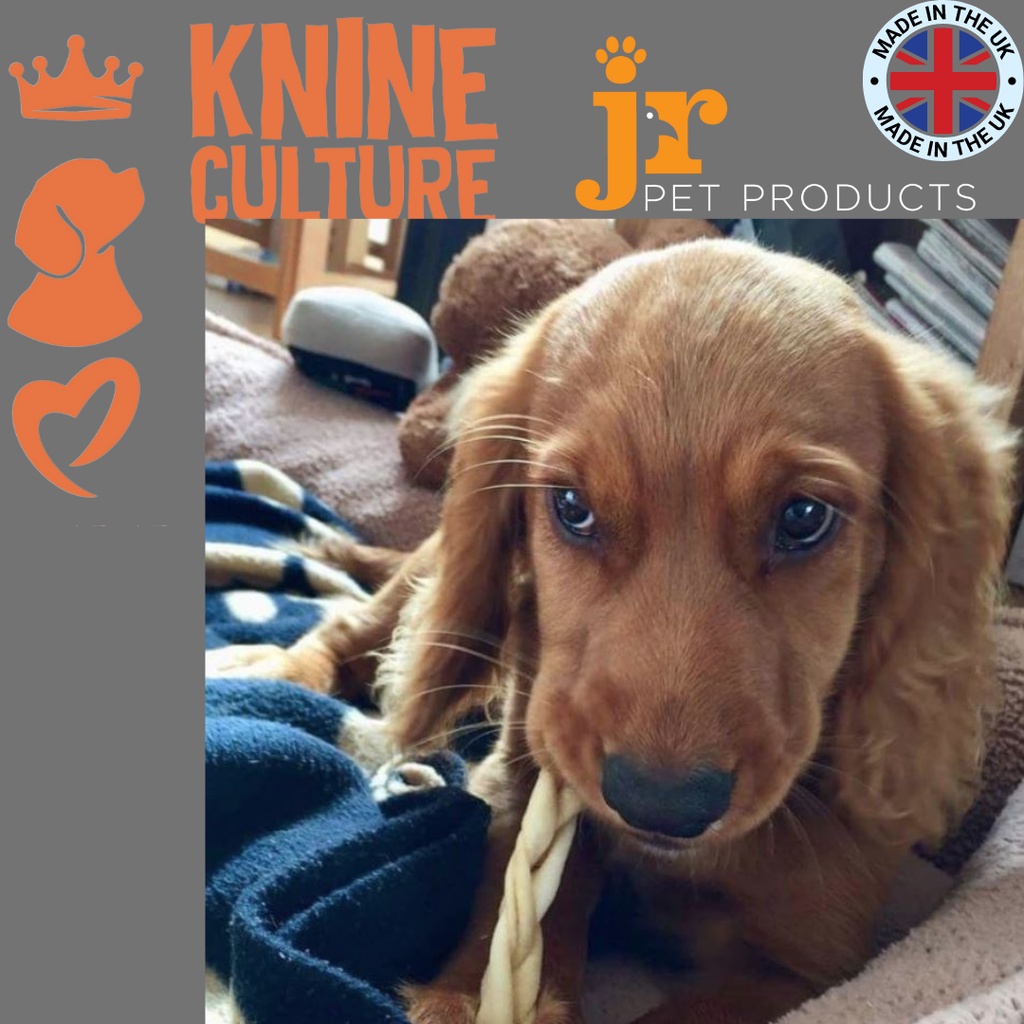 JR Pet Product Braided Lamb Chew (100g) Shopee Singapore