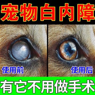 Pet Dog White Internal Disorder Eyedrops Cats Elderly Dogs Inhibit Initial Stage Cornerinal Blue Light Eye Vision Degradation