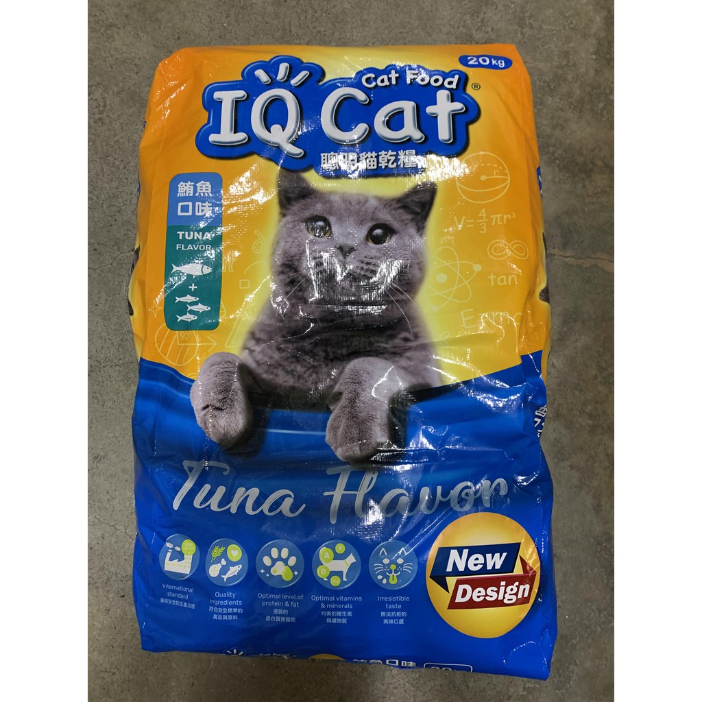good cheap cat food