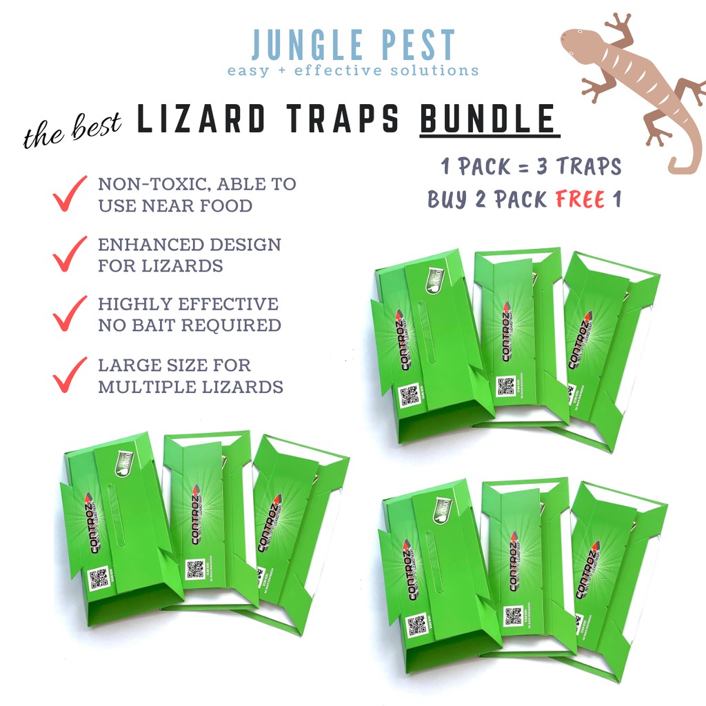 How To Get Lizard Off Sticky Trap [Buy 2 Free 1] Lizard Trap Controz Glue Trap | Sticky Trap 9 PC Cicak