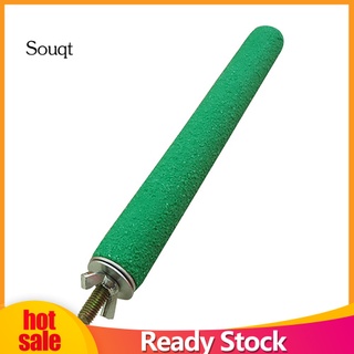 Souqt Parrot Cage Rough Surface Wood Paw Grinding Perch Stand Stick Platform Bird Toy